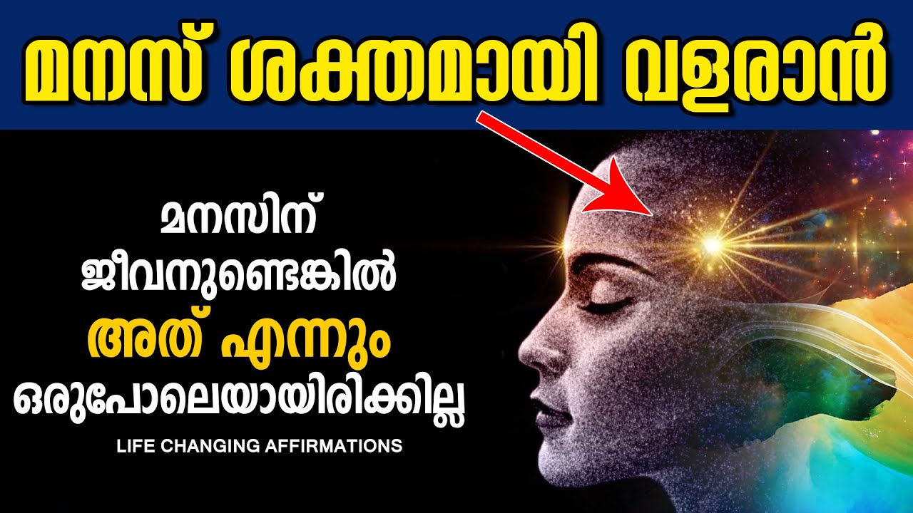 ഈ ഒരൊറ്റ മാറ്റം മതി ജീവിതം മാറാൻ  Fixed Mindset and Progress Mindset - LIFE CHANGING Video