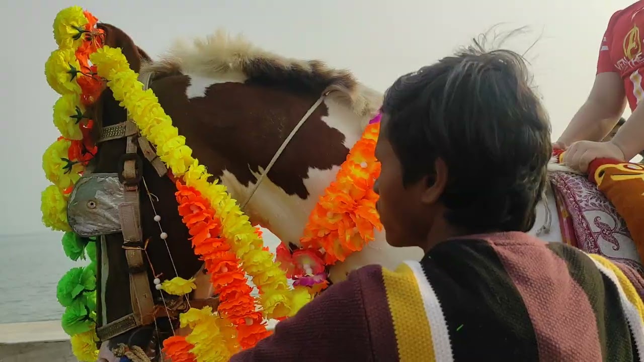 Horse Dinding on Writer Vacation Trip 2025.