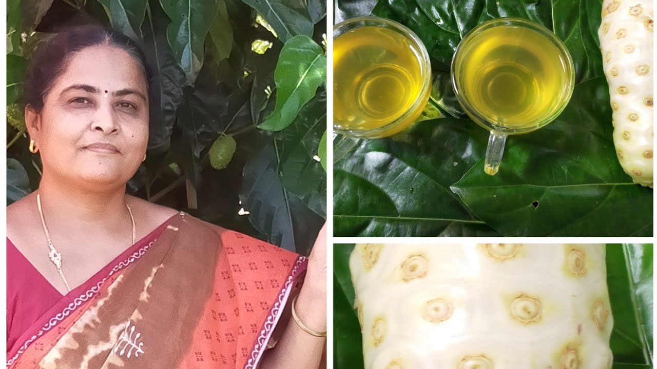 How to weight loss through Noni tea from fruits and leaves by Suneethas