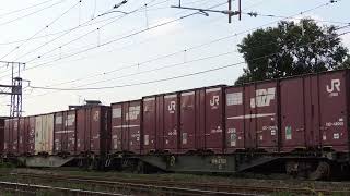 5073レ EF210-141+コキ24B