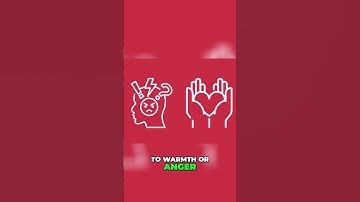 Exploring Color Perception: Emotions Beyond Sight 🎨🧠