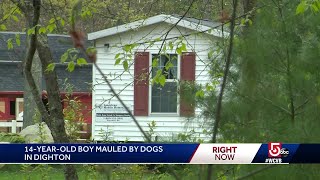 14-year-old boy mauled to death while taking care of animals identified