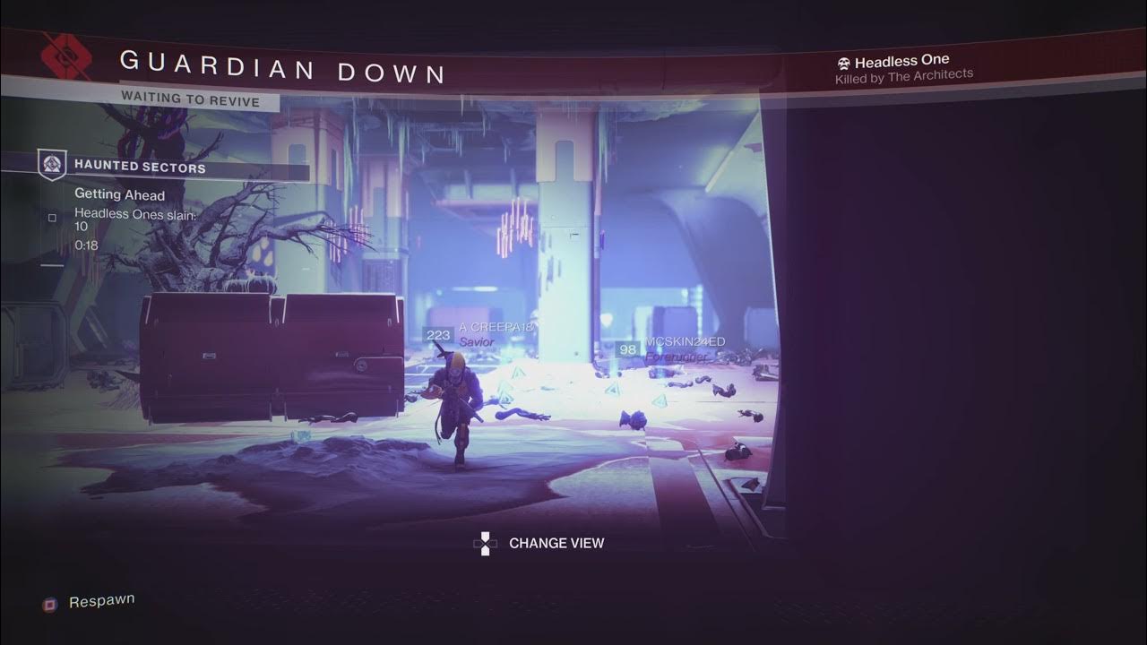 Destiny 2 blueberries are always so helpful YouTube