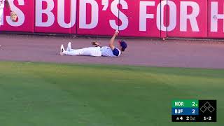 DIVING CATCH BY BATEMAN