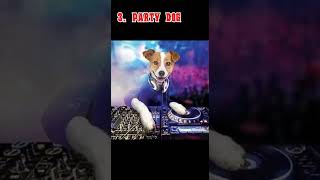 Top 5 best dogs dances🥳🥳 #funny #memes #dogs #dogshorts #shorts 
