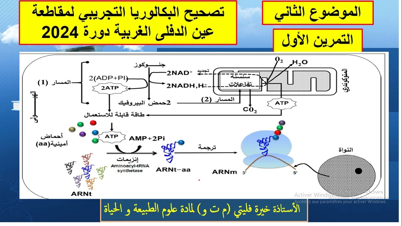 علوم طبيعية حل التمرين الاول من الموضوع الثاني باك تجريبي 2024 عين الدفلى