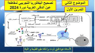 علوم طبيعية حل التمرين الاول من الموضوع الثاني باك تجريبي 2024 عين الدفلى