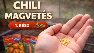 Chili vetés (a kezdetektől - a kezdetekről) 1 RÉSZ