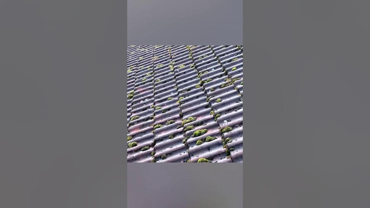 Aqua Jet Roof Cleaning System YouTube