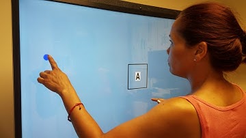 Neur-Sensorimotor Integrator