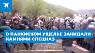 В Панкисском ущелье в Грузии закидали камнями спецназ