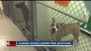 Indy Humane Society offers free adoptions screenshot 1