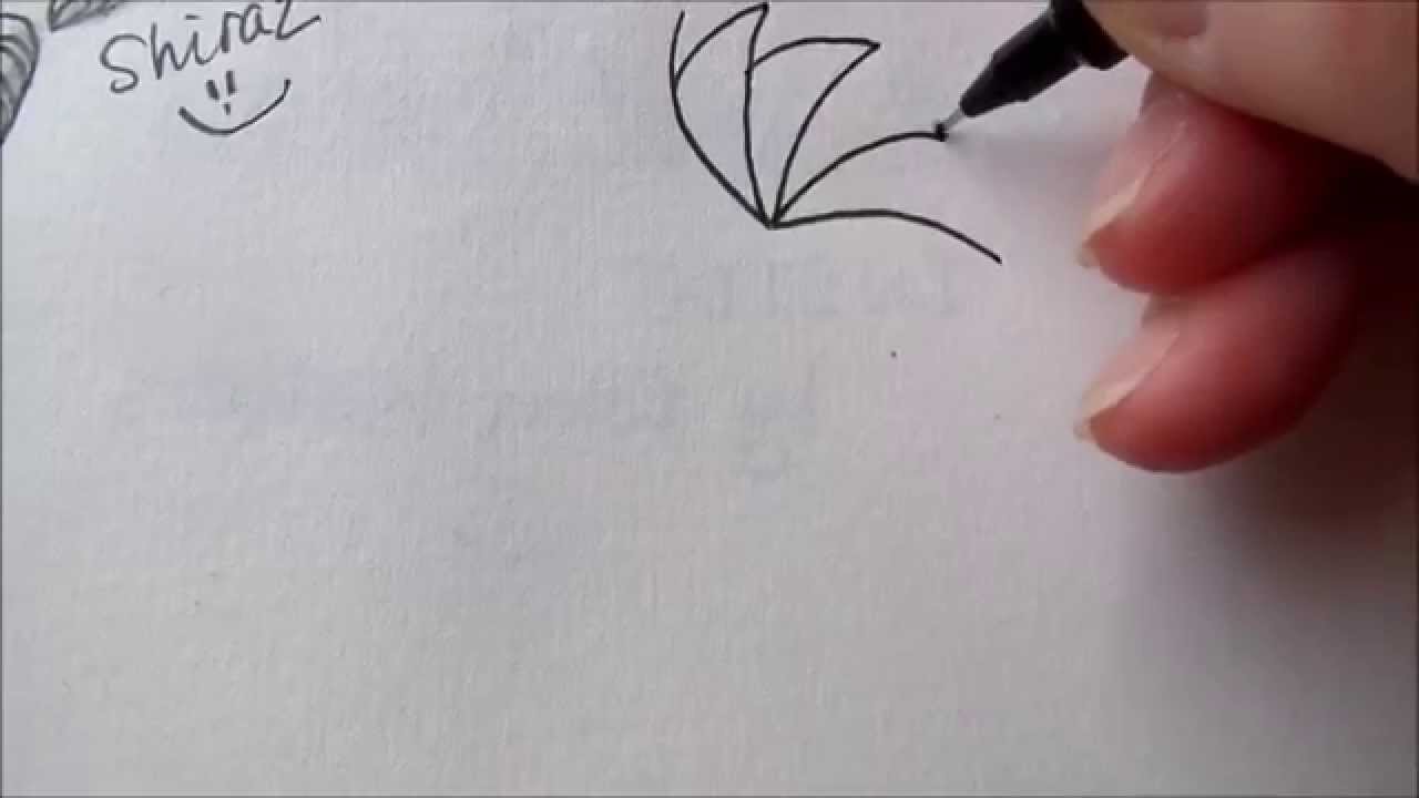 How to draw Sea Shell like tanglepatterns - YouTube