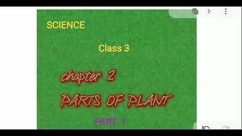 PARTS OF PLANT,PART_1, CLASS 3, SCIENCE, Chapter 2