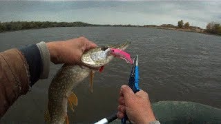 Силиконовый Shiriten Vibe 73 (MADNESS) супротив троллинга.Pike Fishing.