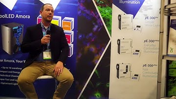 All about LED Illumination Systems