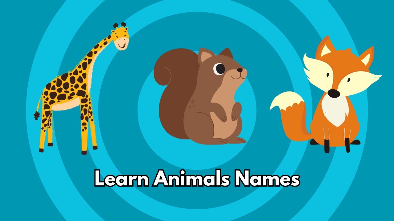 Exciting Animal Adventures Learn Animals Names For Kids YouTube Exciting Animal Adventures Learn Animals Names For Kids YouTube