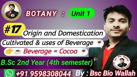 Beverages =Cocoa #cocoa #cocoatree ,cultivation,uses, variety#bsc4thsemester #bscbio @bscbiowallah