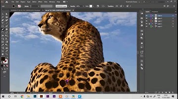 Leopard Vector Art | Timelapse Video |Speed drawing| Illustrator| Vector art Tutorial