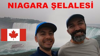Toronto - Niagara Şelalesi | ABD - KANADA SINIRI... KUZEY AMERİKA-VLOG-3