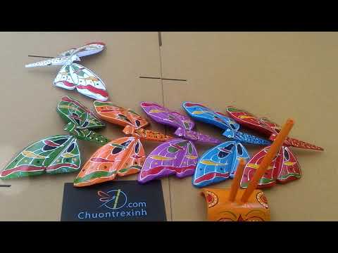 Video Bướm tre cao cấp