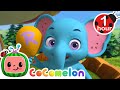 Abcs with animals  cocomelon animal time  learning with animals  nursery rhymes for kids