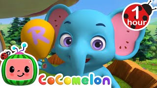 ABCs with Animals! | CoComelon Animal Time  Learning with Animals | Nursery Rhymes for Kids