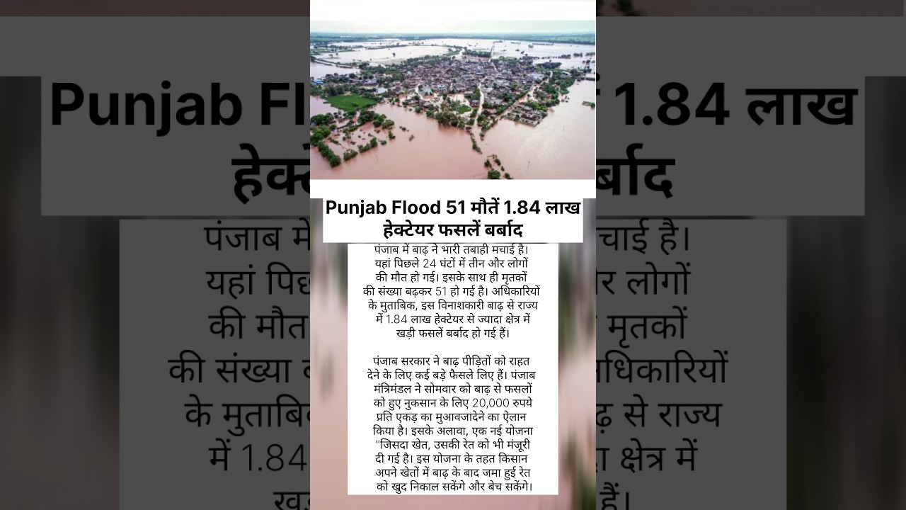 Punjab Flood 50+ Dead Crops Lost Farmers Get Big Relief | 