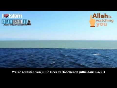 Video: De Gruwel Van De Oude Zeeën - Alternatieve Mening
