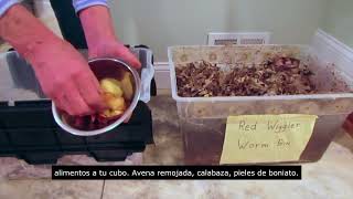 All About Worms   Lesson 4M (Spanish Subtitles)