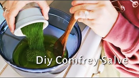 Lets make COMFREY SALVE together.
