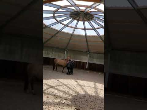 Das ist vom Reiten