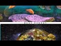 গোবিন্দভোগ চালের মুড়ি ঘন্ট-Famous Bengali Traditional FishHead Recipe|Busy Sunday|Aquarium Cleaning|