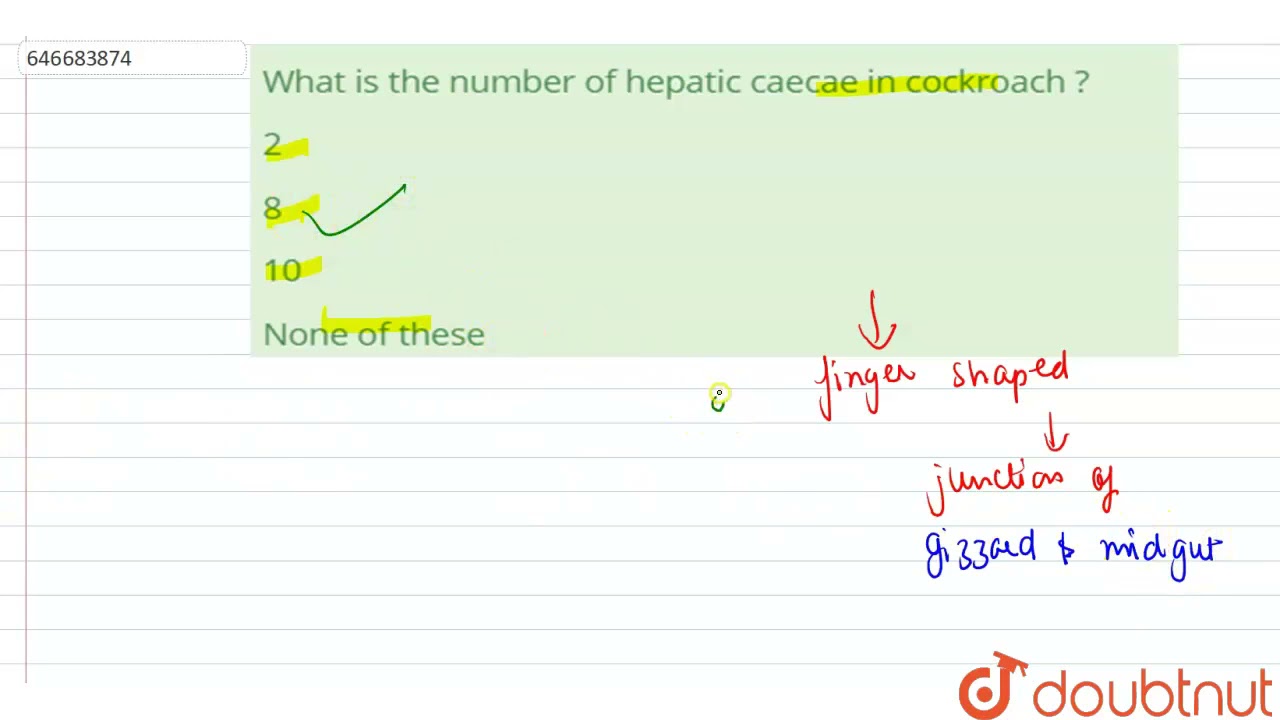 What is the number of hepatic caecae in cockroach ? | 12 | EARTHWORM & COCKROACH | BIOLOGY | ALL...