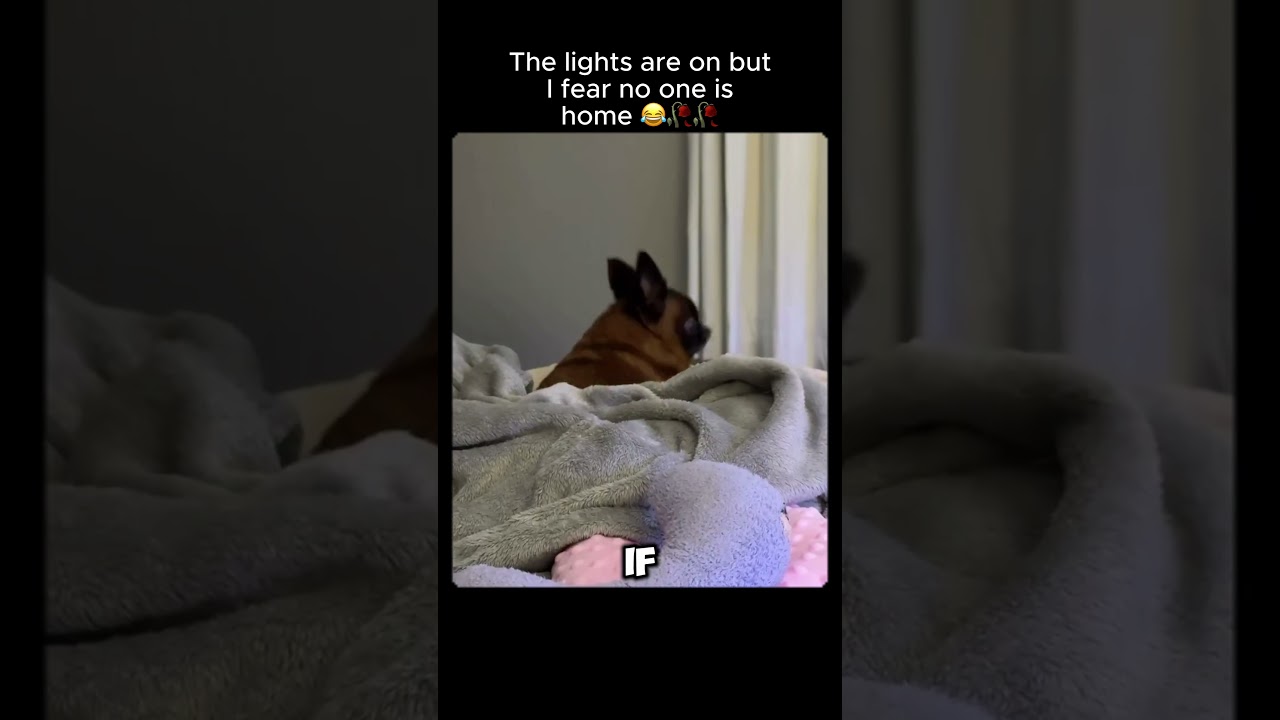 Ни единой мысли в этих глазах😭🥀🥀