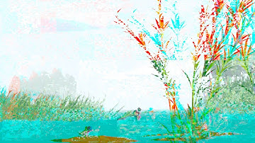 Random Value in Compositing Node // "Tutorial"