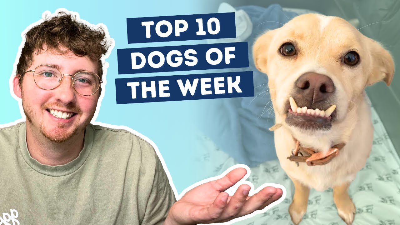 The Most Impressive Underbite We've Ever Seen