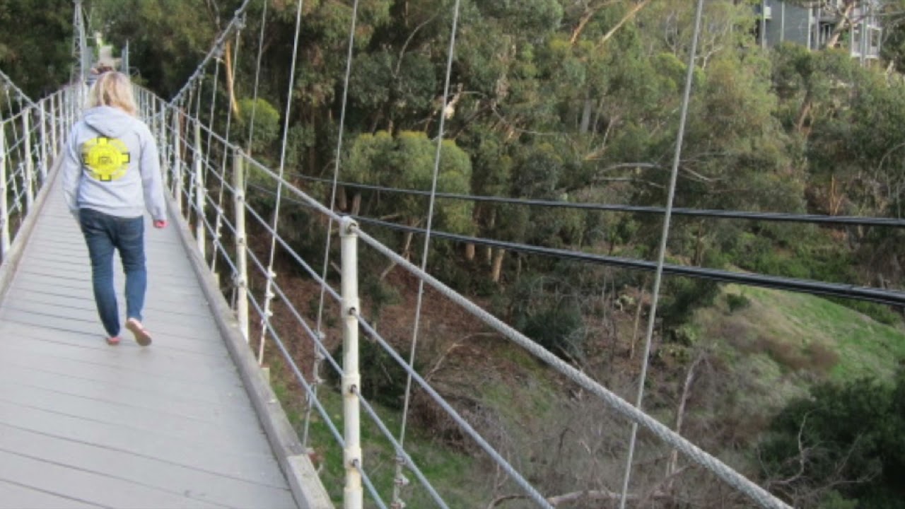 Spruce street suspension bridge