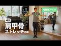【毎日4分】肩や首も楽になる、肩甲骨ストレッチ8種