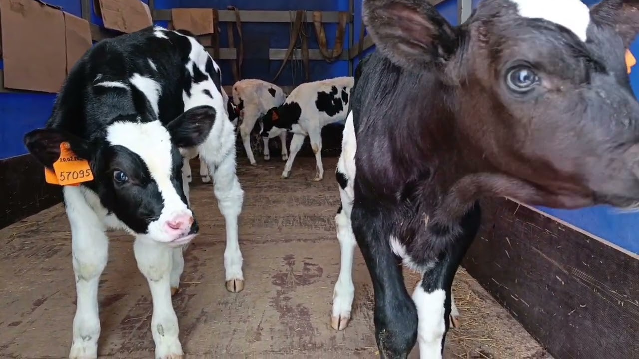 Сегодня как 