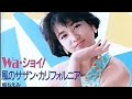 Wa・ショイ! (Wa Shoi!) 堀ちえみ Chiemi Hori 1985