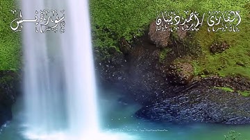 سورة الرحمن , الملك , يس , الواقعة || القاريء أحمد ديبان Ahmed Dyban