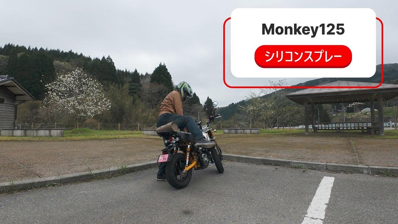 【モンキー125】#14 シリコンスプレー吹いてみた