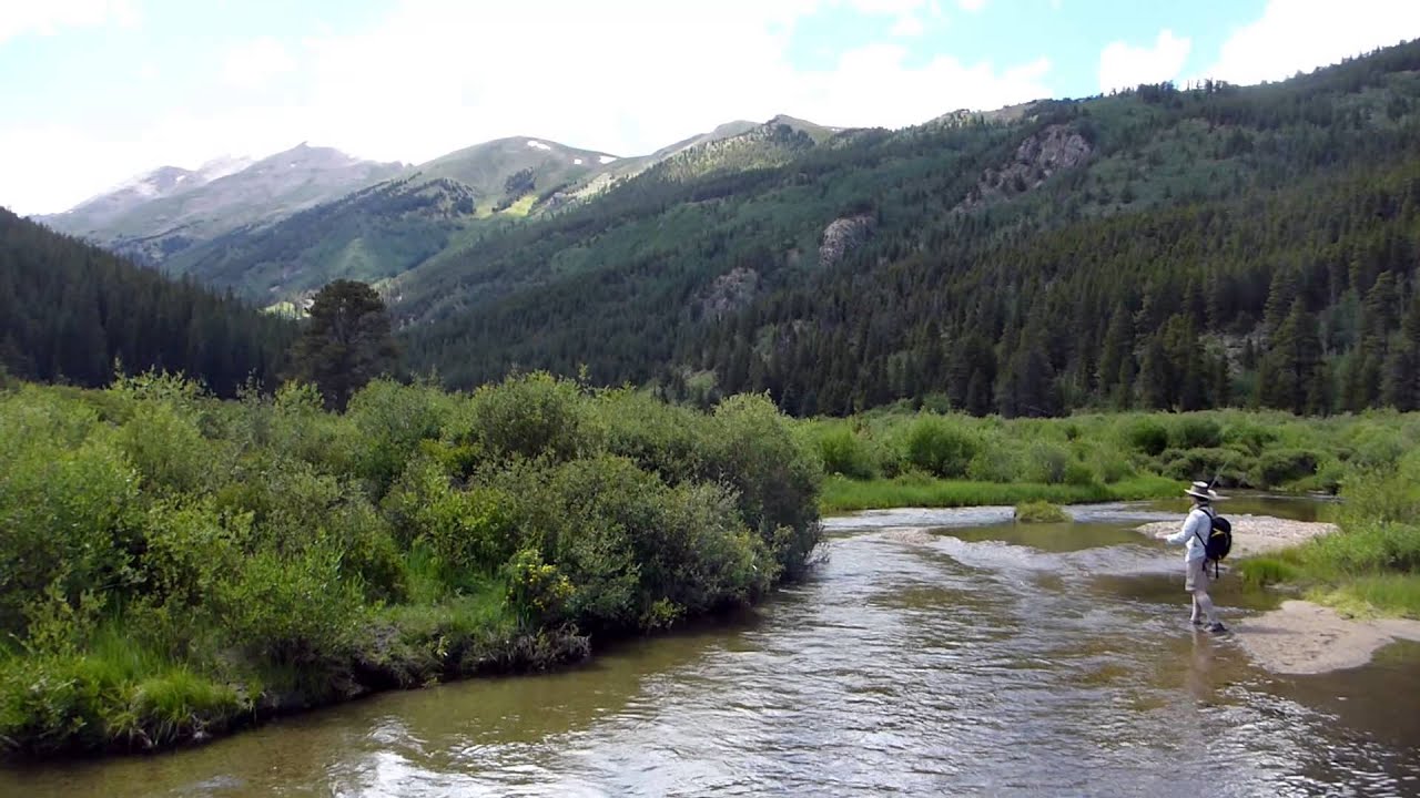 brook trout drawing Fly Fishing Colorado: Our Playground 2015 - Vol. 2