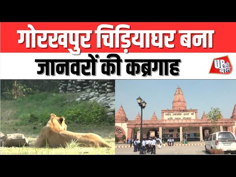 Gorakhpur: गोरखपुर चिड़ियाघर बना जानवरों की कब्रगाह | UP Ki Baat