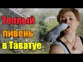 Дождь не испортил праздник//Начала заготовки делать//Роза помогает