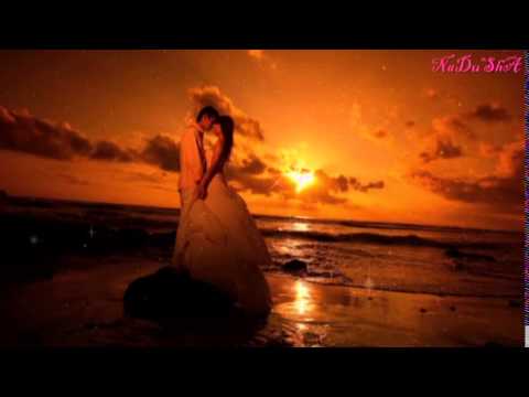 محبة طلال سلامه و انغام