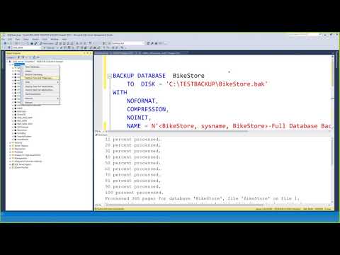 Part 20 SQL Server Administration in Amharic Language Restore from Backup