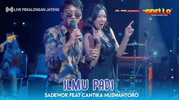 ILMU PADI | SADEWOK FEAT CANTIKA NUSWANTORO | OM ADELLA LIVE PEKALONGAN JATENG 2025