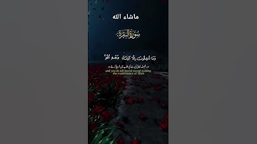 تلاوة خاشعة للشيخ ماهر المعيقلي #اكسبلور #المصحف #الرحمن #راحة_نفسية